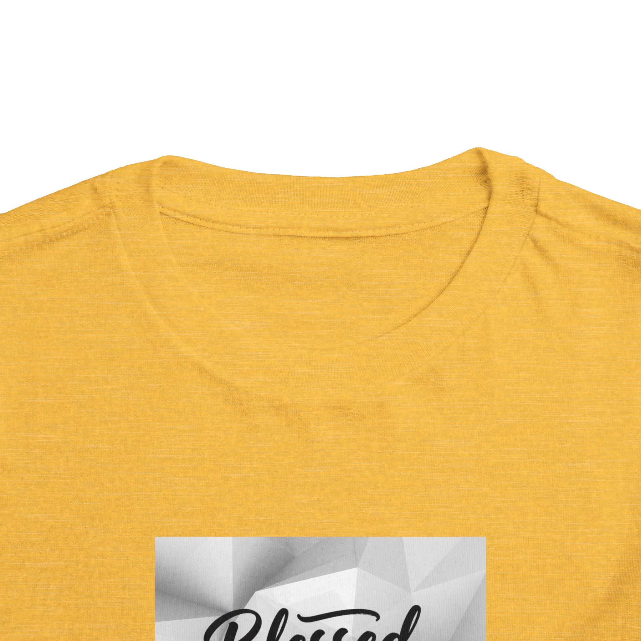 Blessed and Highly Favored Toddler Tee