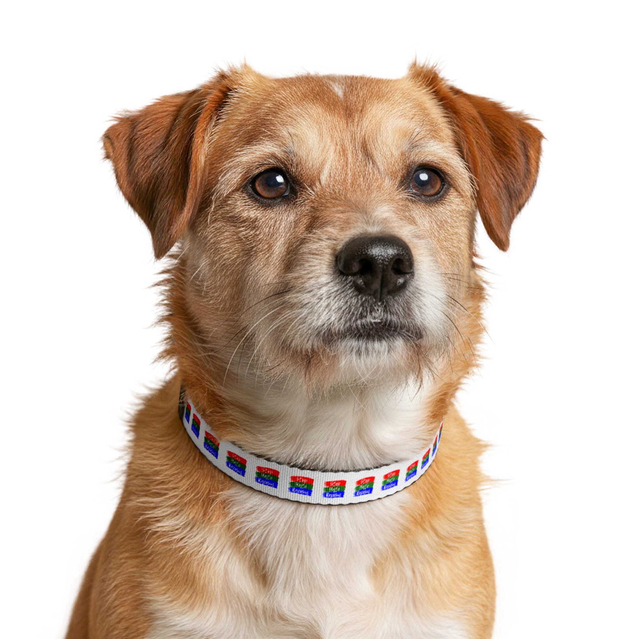 Pet Collar — Rainbow Pride Clip-On Collar (LGBTQ+ Support)