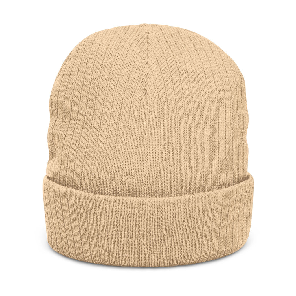 Embroidered "POWR JESUS" Ribbed Beanie — Cozy Christian Knit Hat